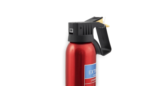 600g Car Fire Extinguisher - Green Flag vGroup