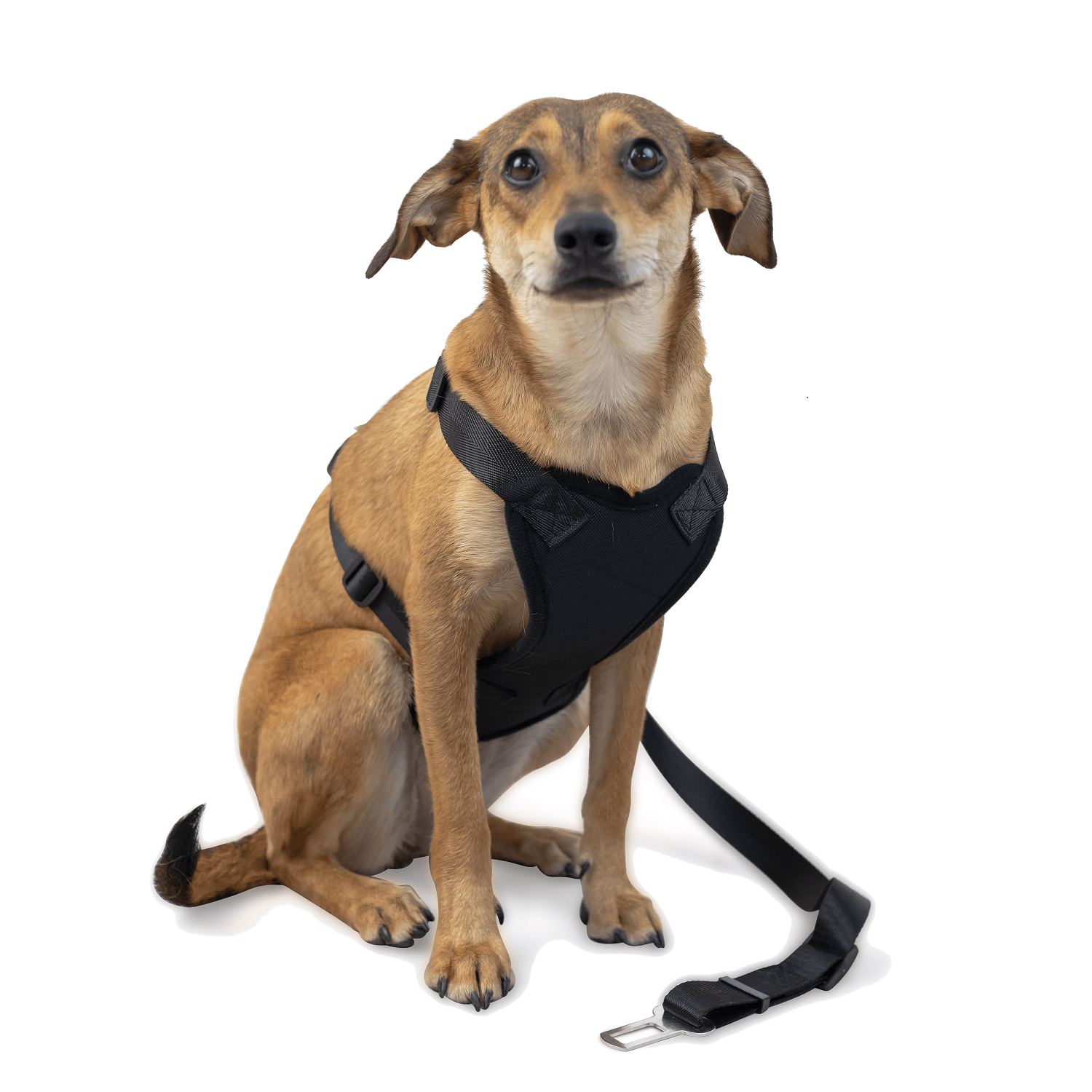 Car Strap Dog Harness - Large - Green Flag vGroup