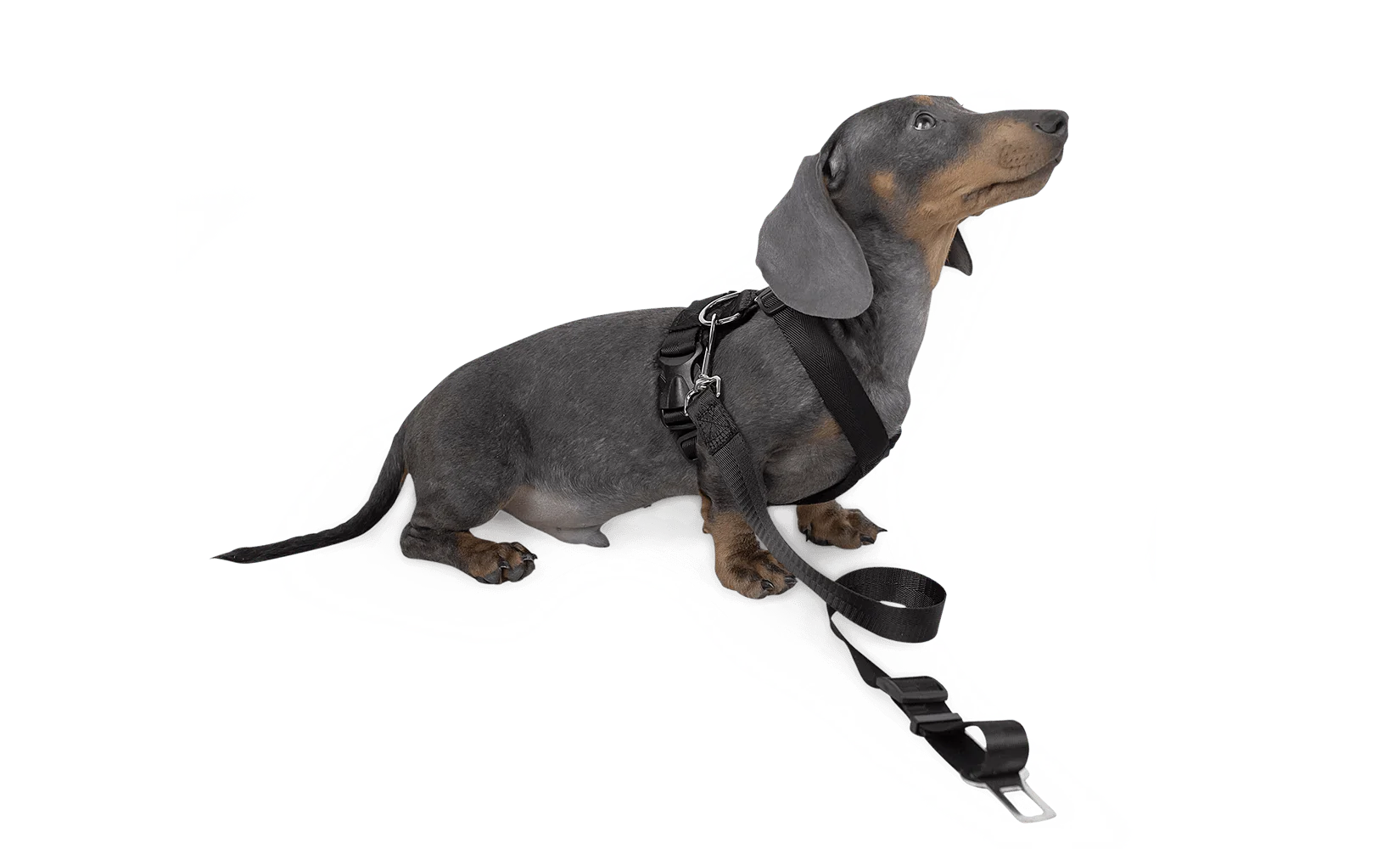 Dog Strap Harness - Small - Green Flag vGroup